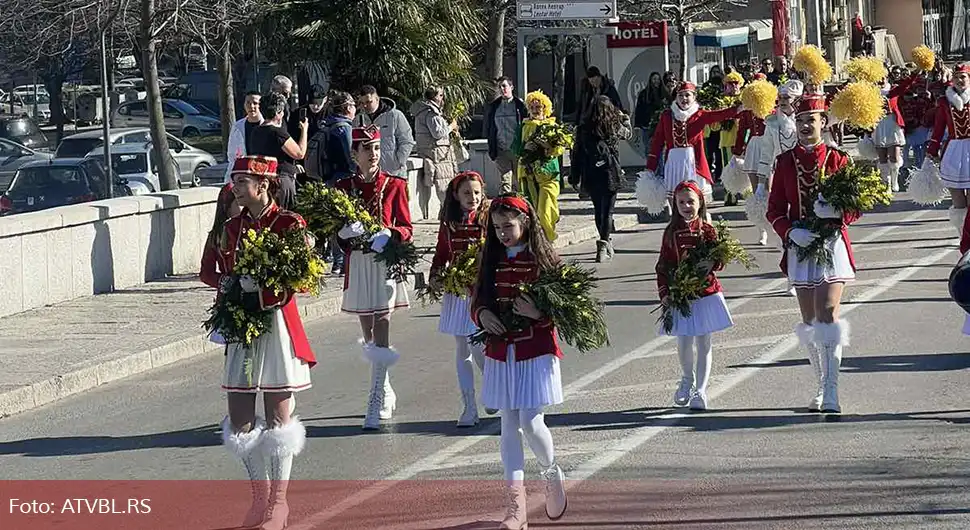 mimoza trebinje 1.webp